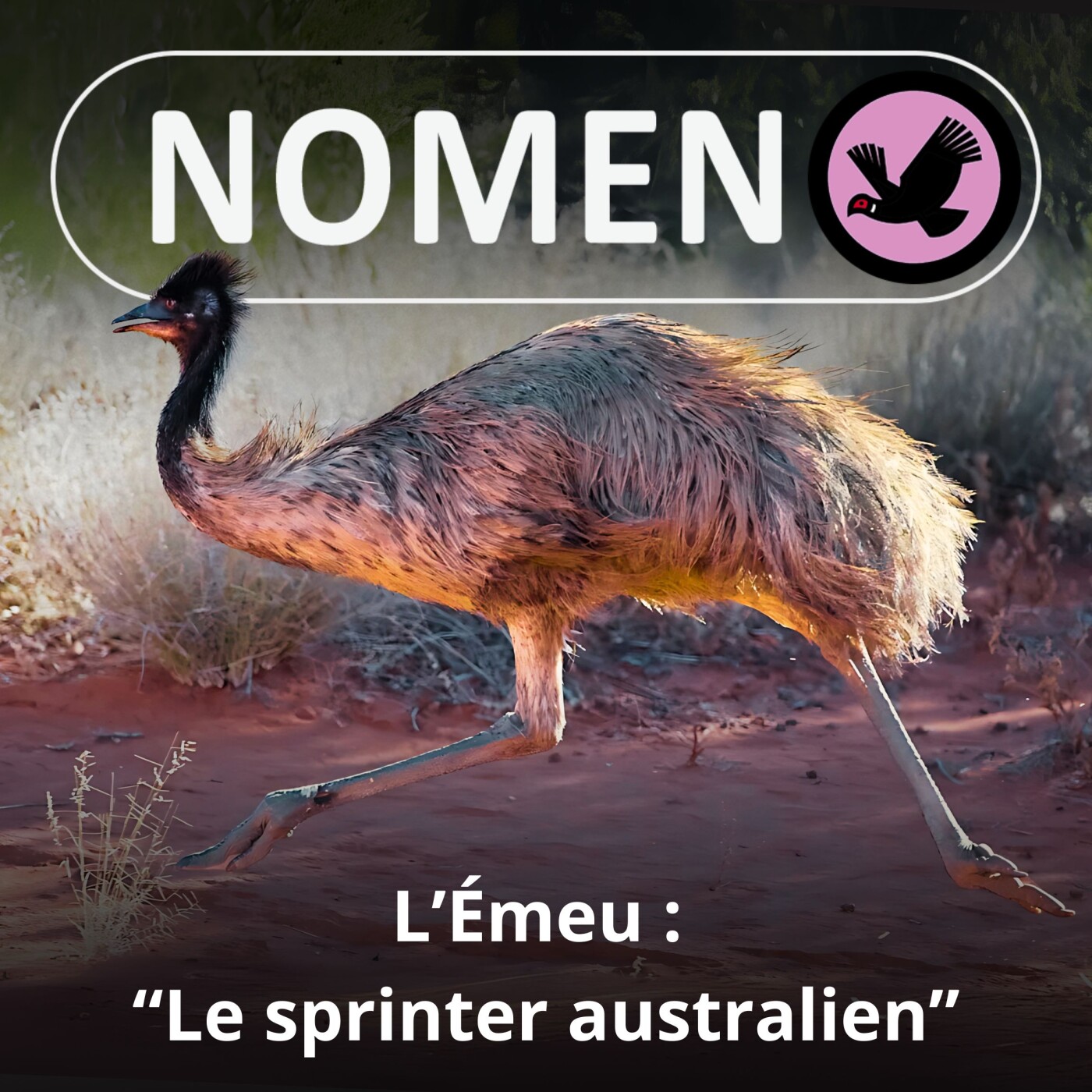 S05E30 L'Émeu : "Le sprinter australien"