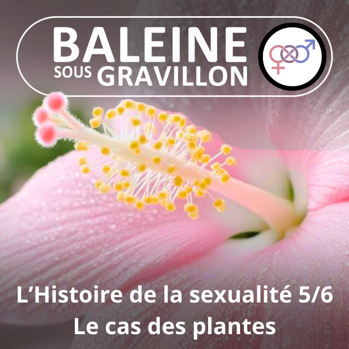 S05E54 Histoire de la sexualité 5/6 : Le cas des plantes episode artwork