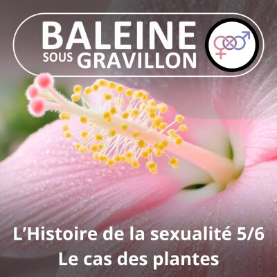 S05E54 Histoire de la sexualité 5/6 : Le cas des plantes cover