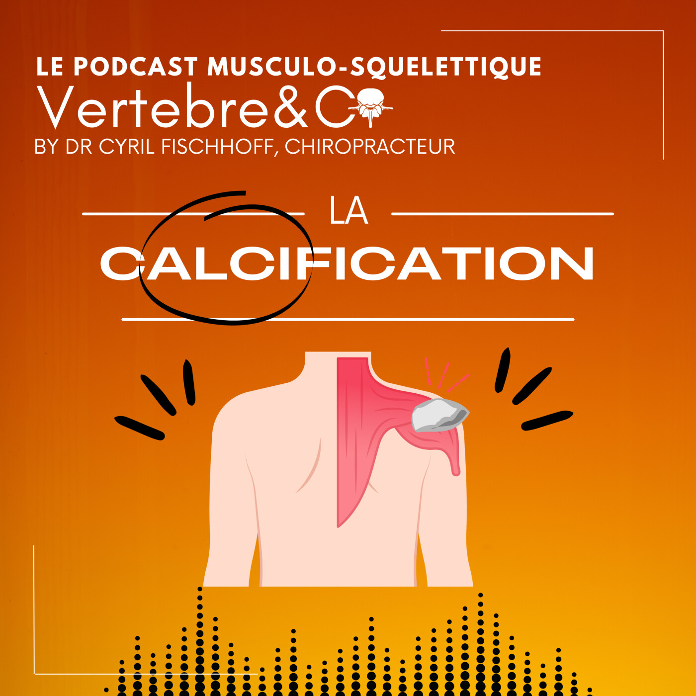 VERTEBRE&CO Le Podcast Musculo-Squelettique