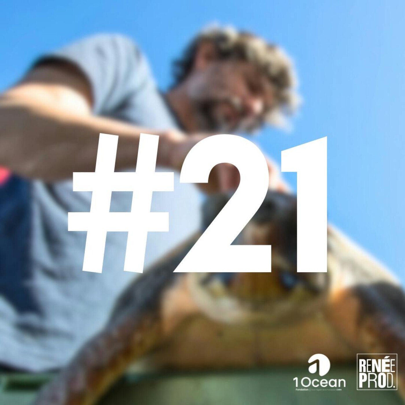 Plongeon avec les tortues