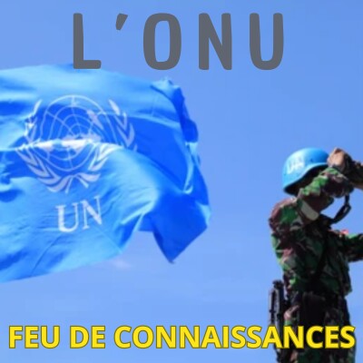 La France préside le Conseil de sécurité de l'ONU cover