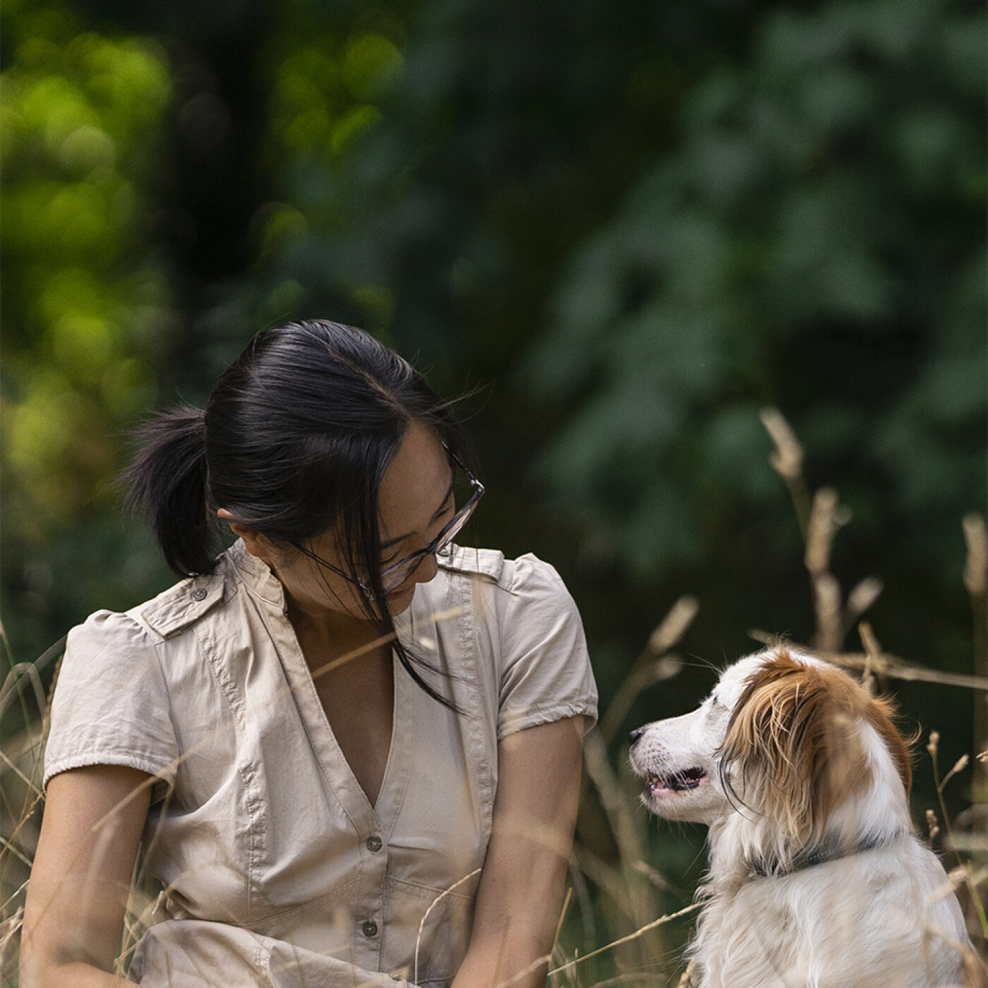 Les chroniques fantastiques du chiot