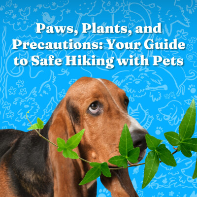 Paws, Plants, and Precautions: Your Guide to Safe Hiking with Pets cover