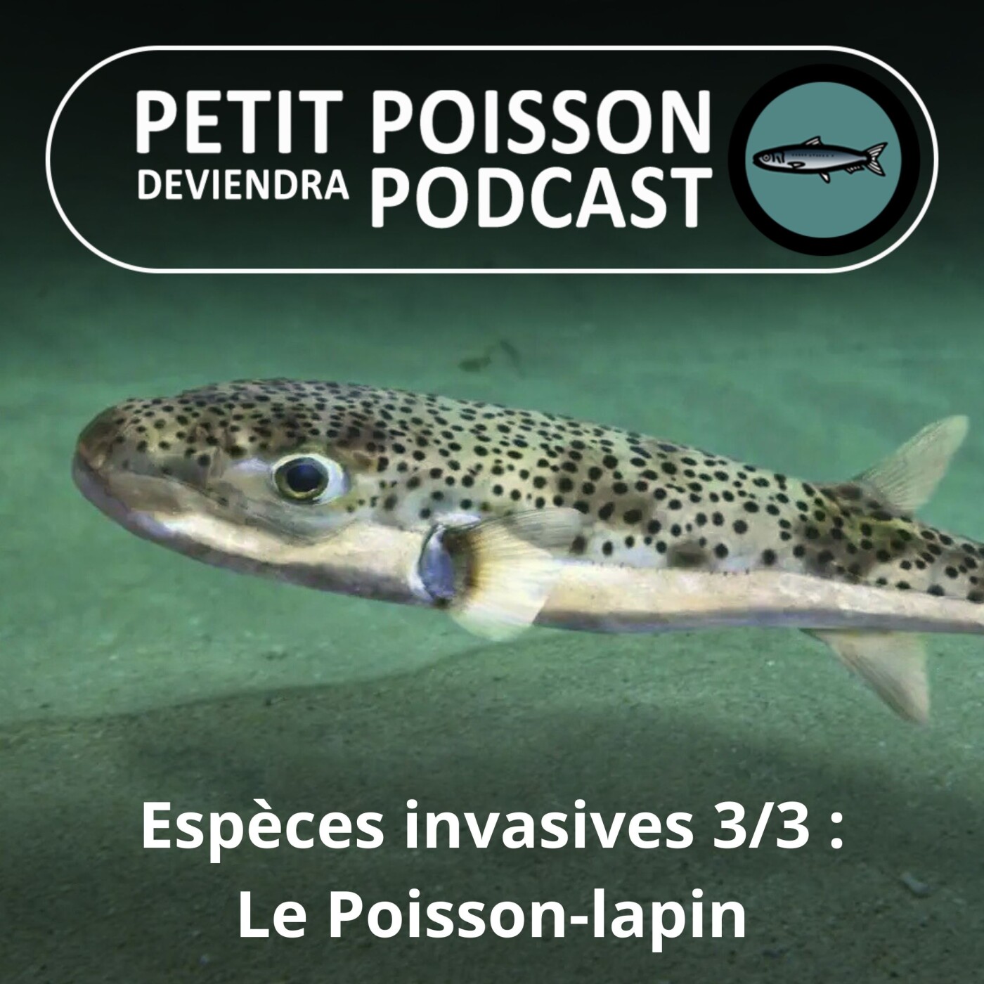Petit Poisson deviendra Podcast