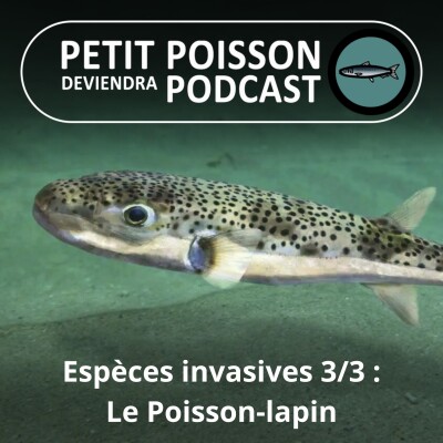 Show cover