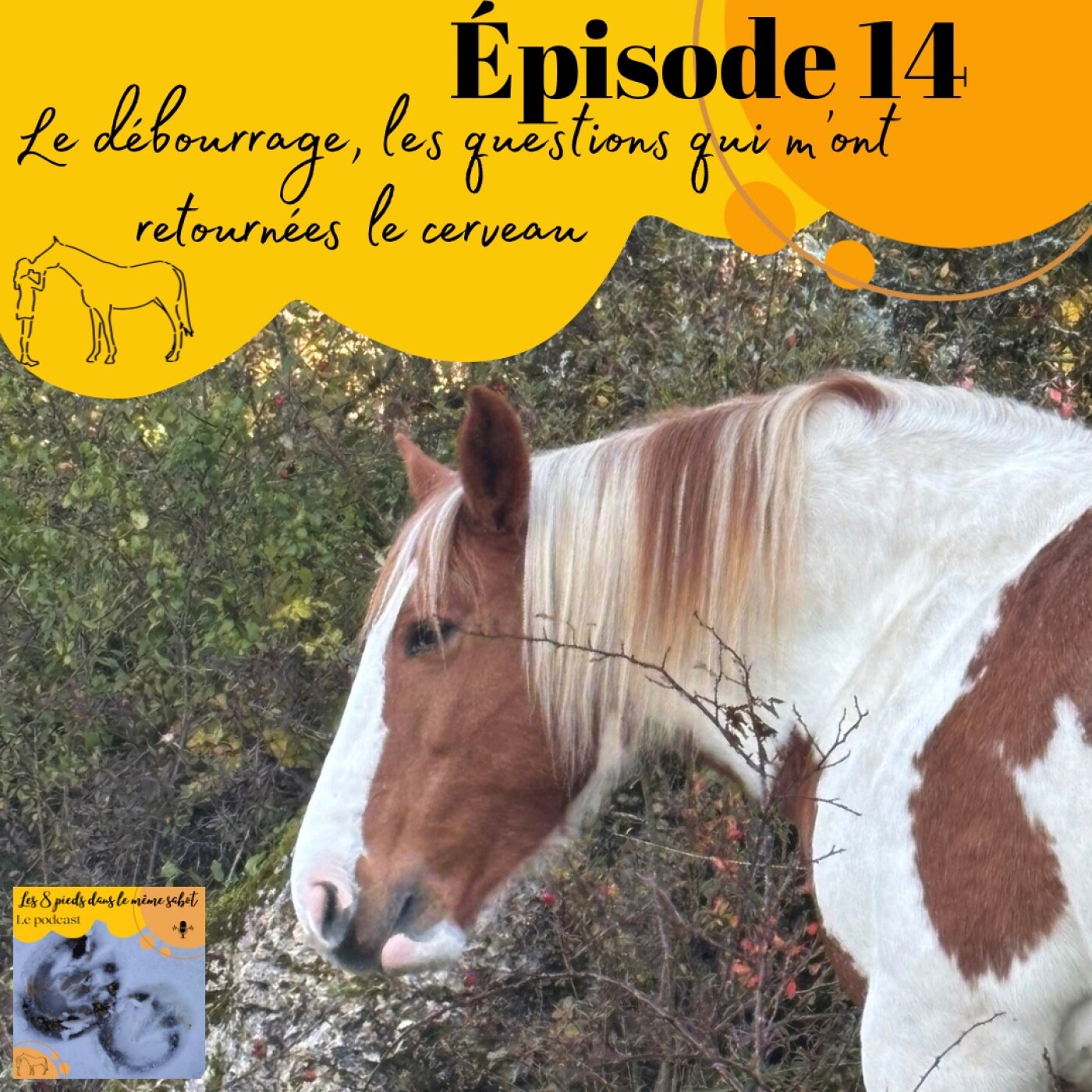 Les 8 pieds dans le même sabot