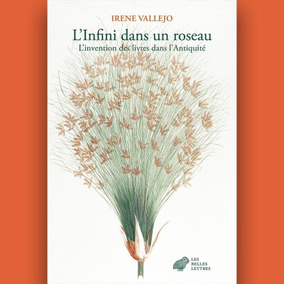 Irene Vallejo - L'Infini dans un roseau cover