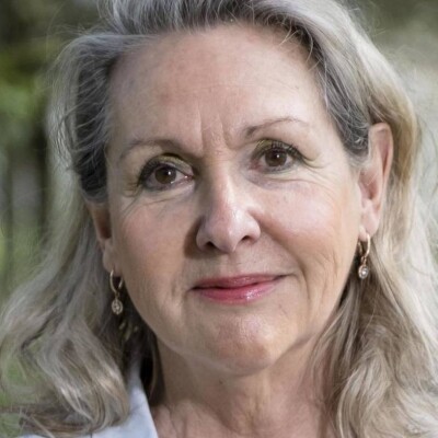 les soins palliatifs ou soigner sa sortie... cover