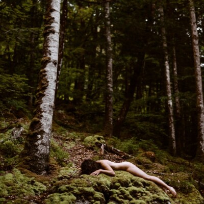 Tant qu'il y aura des Arbres S01E05 – Veronique Damart Maillo Design cover