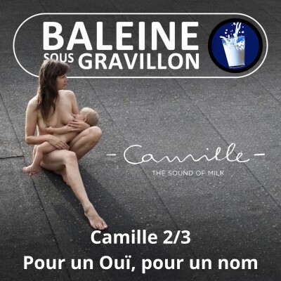 S08E10 Camille... sous le gravillon 2/3 : "S'isoler du bruit et de la fureur du monde" cover
