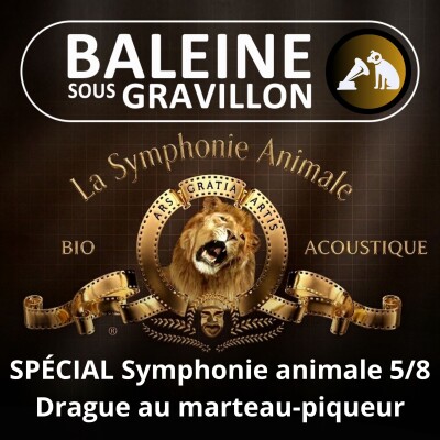 BEST OF D'ÉTÉ #39 Symphonie animale 5/8 : Le tambourinage du Pic, une drague au marteau-piqueur ! cover