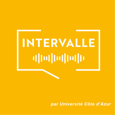 Le bruit en open space, un problème invisible avec Edith Galy cover