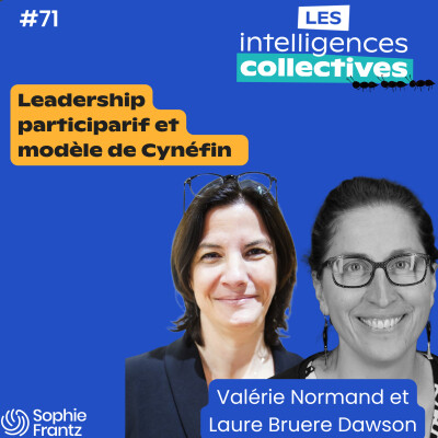 #71 - Des contributions aux décisions : Explorer le leadership participatif et le modèle Cynefin cover