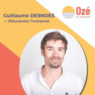 À quoi ressemble une entreprise sociale ? - Guillaume Desnoes cover