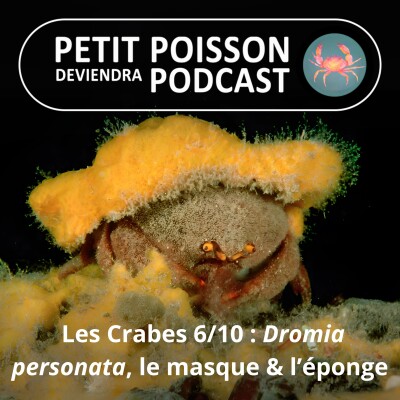 Show cover