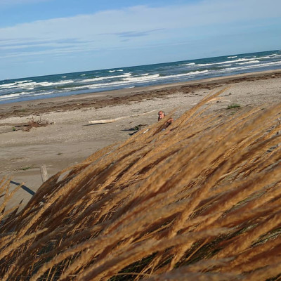 Souffle Le Vent cover