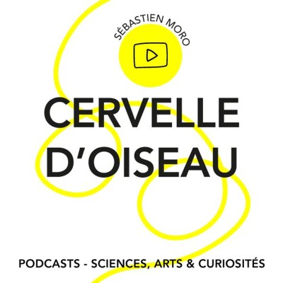 Épisode 94 - Cervelle d'oiseau cover