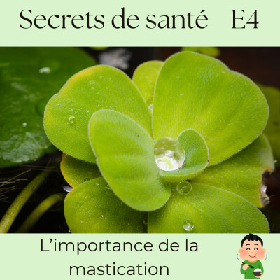 Bien mâcher pour bien digérer : la puissance insoupçonnée de la mastication - S7E4 cover