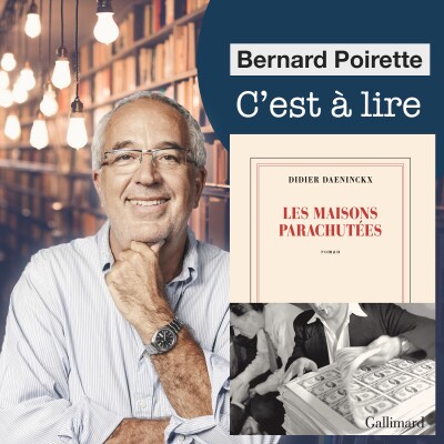 255. "Les maisons parachutées" de Didier Daeninckx cover