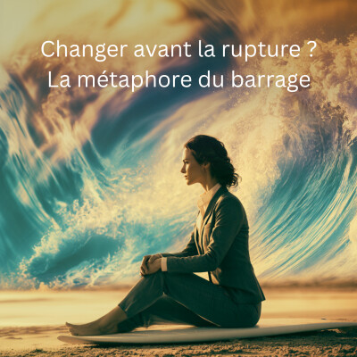 Changer avant la rupture, changer sans tout casser ? La métaphore du barrage - Hauts Potentiels Intellectuels, Émotionnels, Spirituels... cover