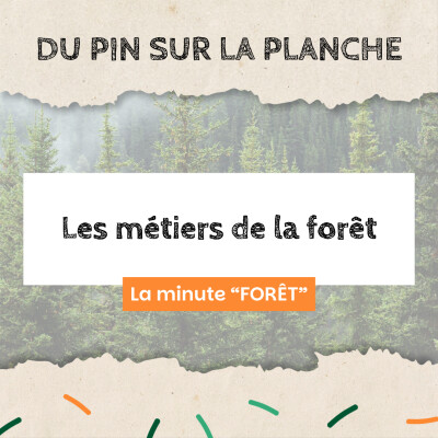 Les métiers de la forêt - Minute Forêt cover