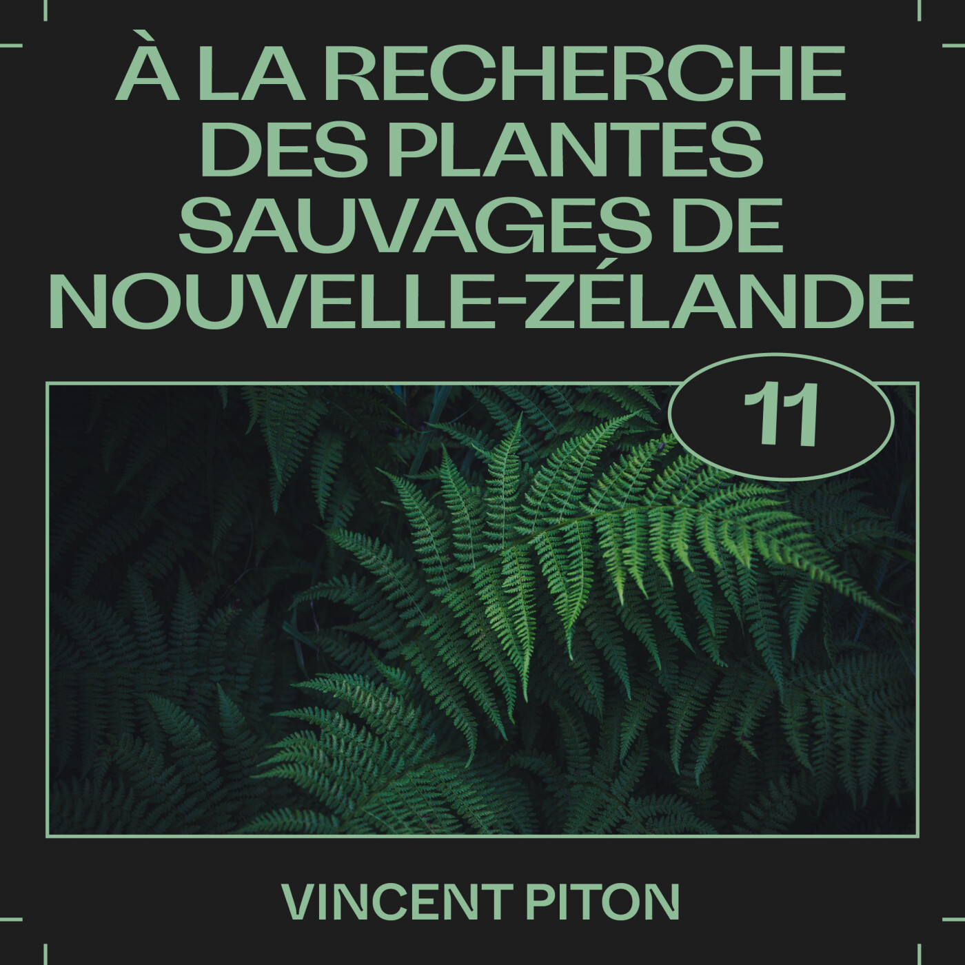 #11 â Ă la recherche des plantes sauvages de Nouvelle-ZĂ©lande, avec Vincent Piton