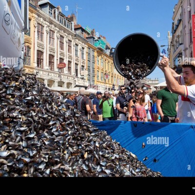 Reprise sportive ou virée à la Braderie de Lille : Léa vous aide à choisir ! cover
