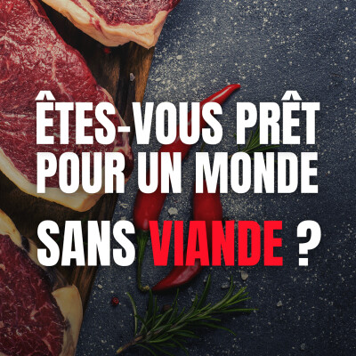 UN MONDE SANS VIANDE : ÊTES-VOUS PRÊT ? cover
