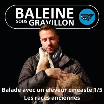 S07E05 Balade avec un éleveur-cinéaste 1/5 : Les races anciennes (Rémi Dupouy) cover