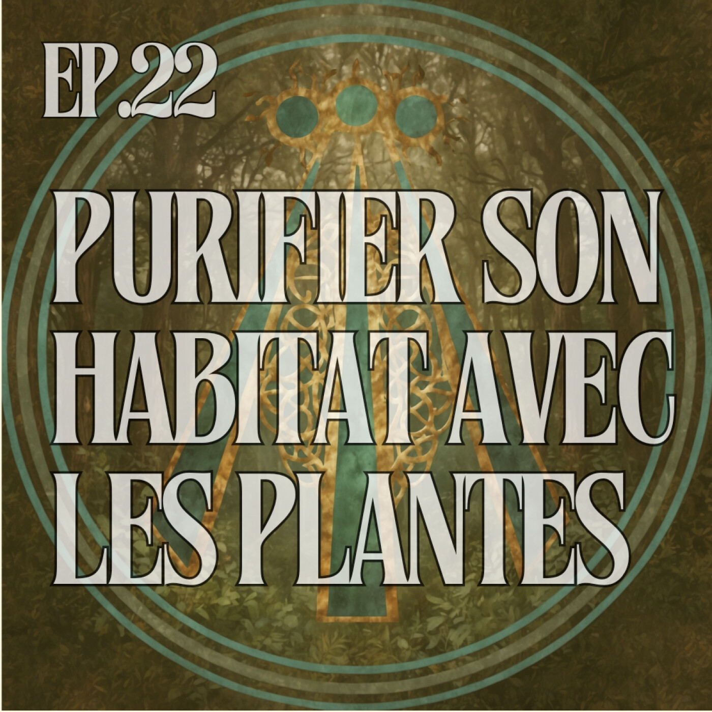 Purifier son habitat avec les plantes locales episode artwork