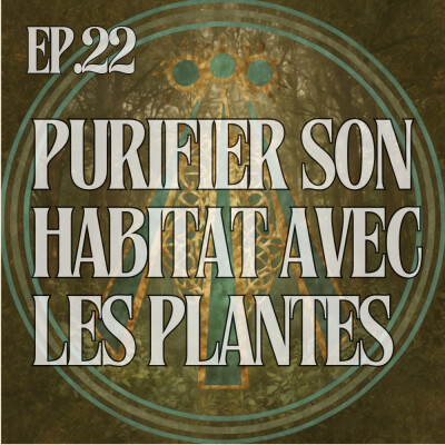 Purifier son habitat avec les plantes locales cover