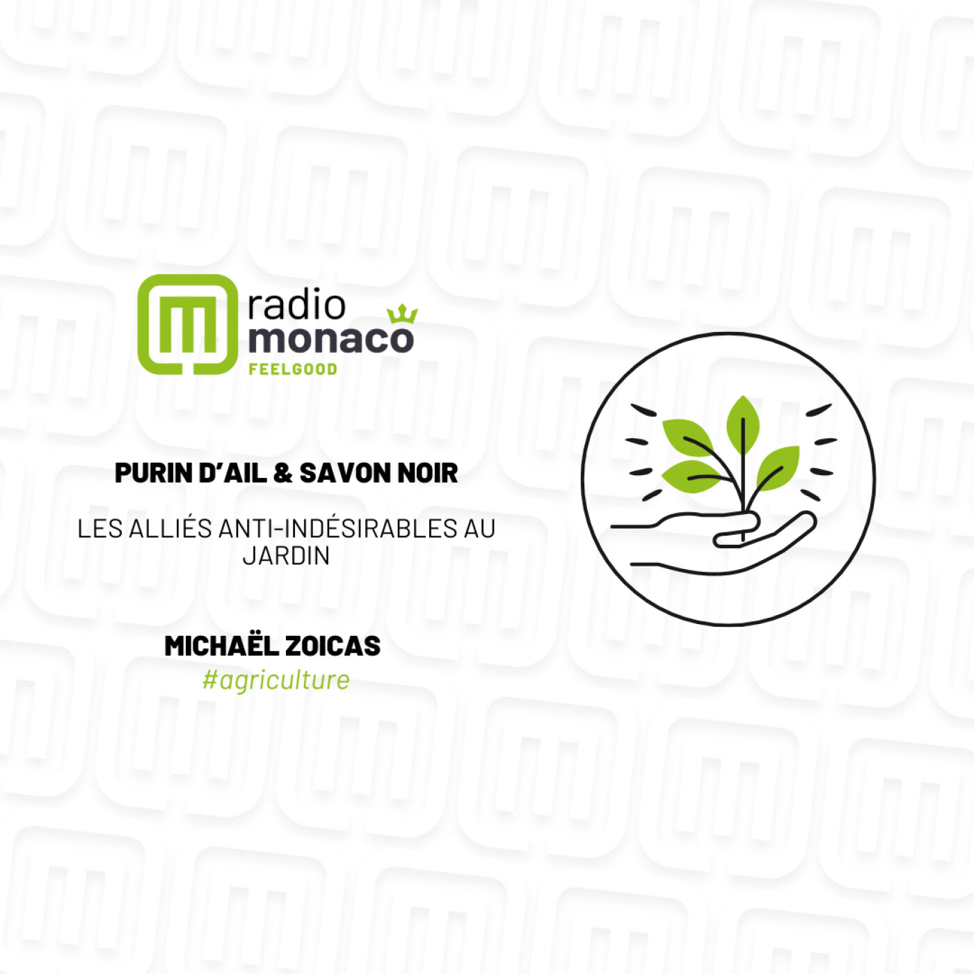 Le purin d'ail et le savon noir : des alliés naturels pour le jardin episode artwork