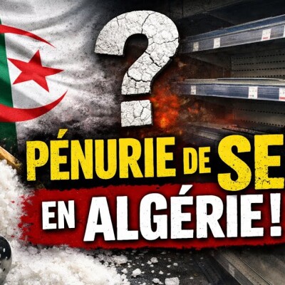 L’incroyable histoire de la pénurie de sel en Algérie cover