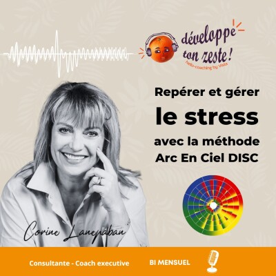 Repérer et gérer le stress avec la méthode Arc En Ciel DISC cover