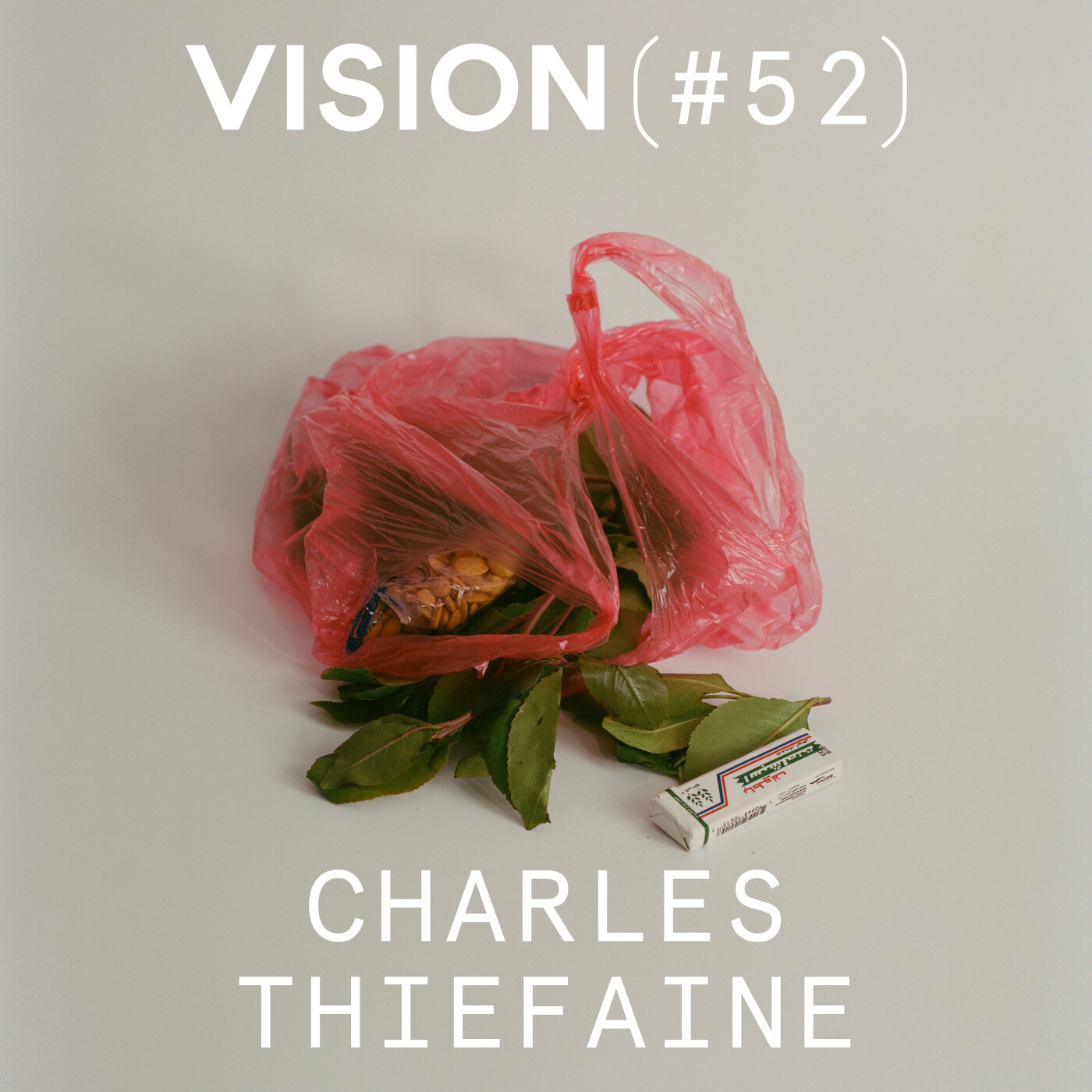 VISION #52 â CHARLES THIEFAINE | « Le photographe influence le sujet quâil traite et lâimage quâil crĂ©e »