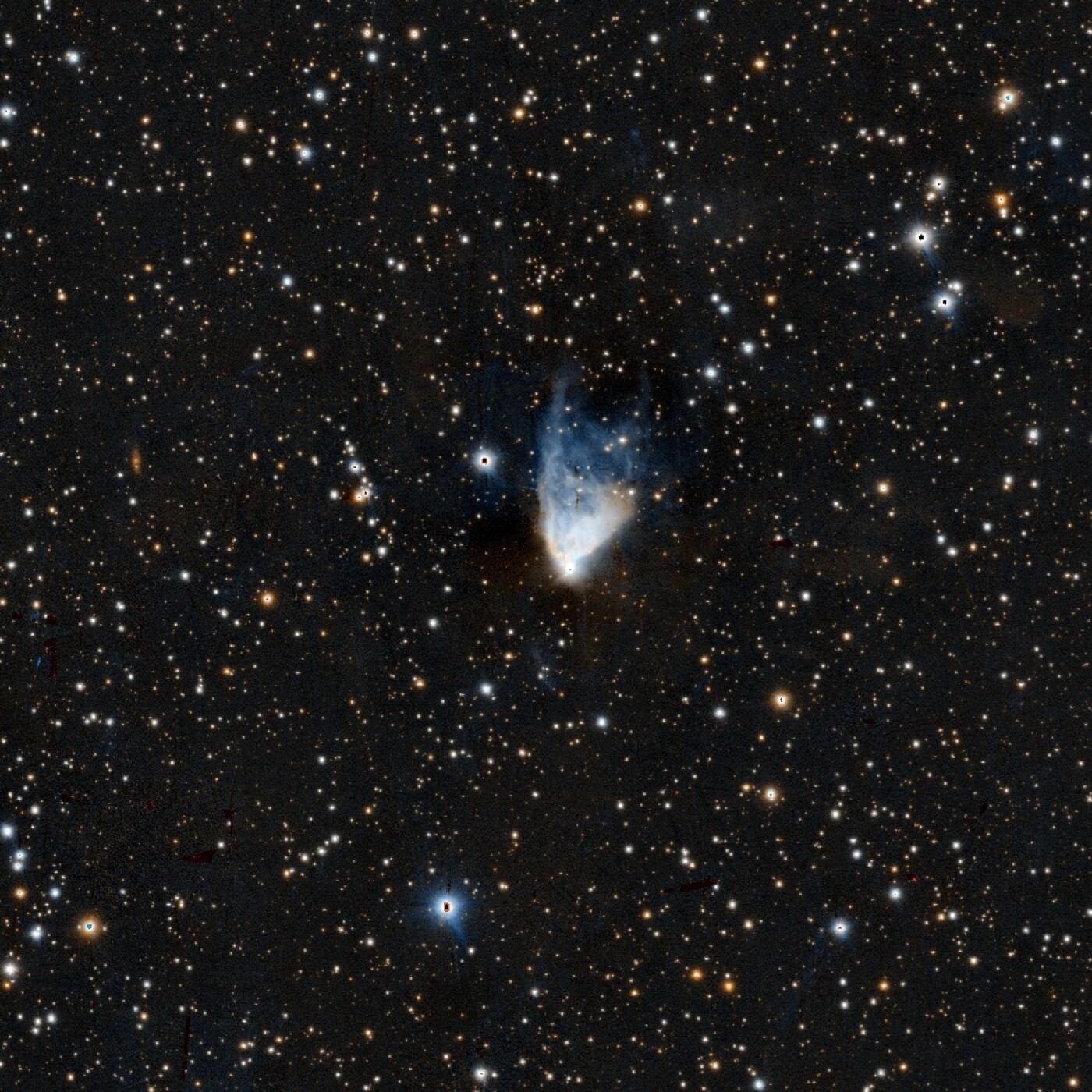 Les spectacles de vos nuits en février 2026