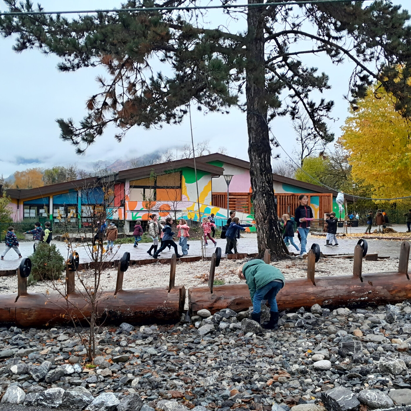 Parc Cour Vert : et si on transformait la cour d’école en un terrain d'aventure du vivant ? episode artwork