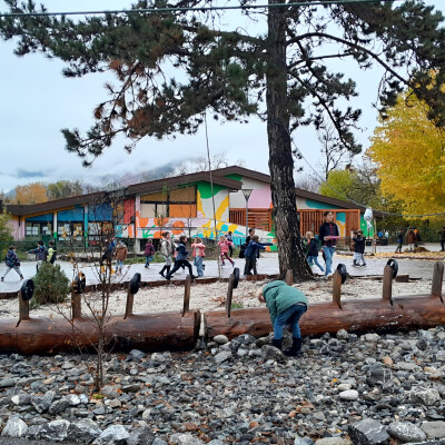Parc Cour Vert : et si on transformait la cour d’école en un terrain d'aventure du vivant ? cover