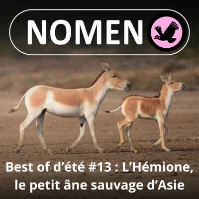 BEST OF D'ÉTÉ #13 : De l'Âne à l'Hémione, du domestique au sauvage cover