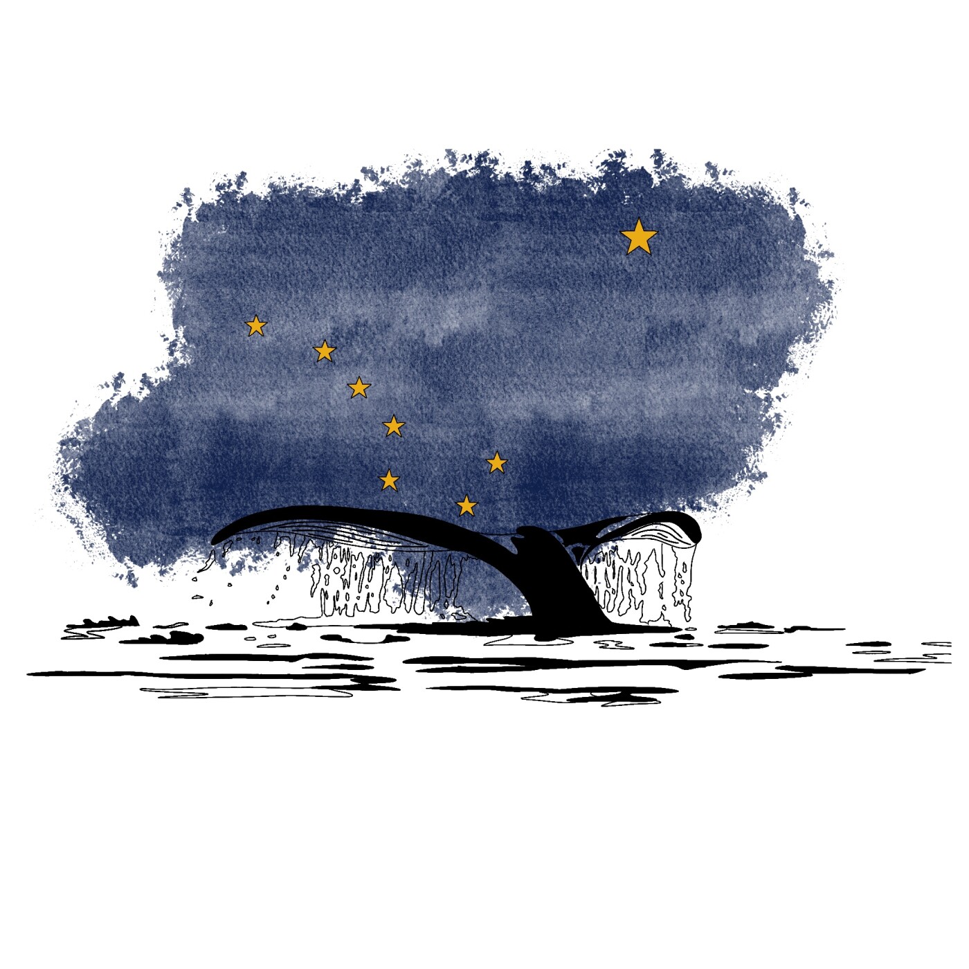Stories: Graphic Artist