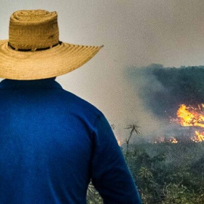 Brésil: une résistance citoyenne à l’agro-business cover