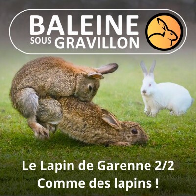 S05E35 Le Lapin de garenne 2/2 : Comme un Lapin ... de garenne ! cover