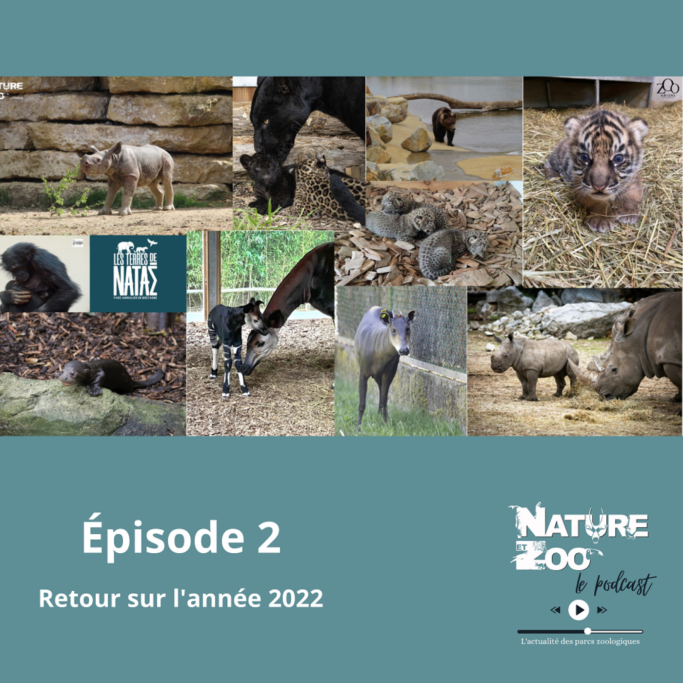 Épisode 2 (RÉTROSPECTIVE) - Retour sur l'année 2022 episode artwork