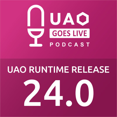 Episode 08: Unveiling runtime execution engine V24.0 cover