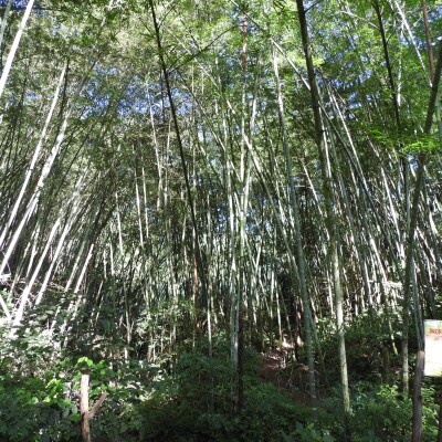 Colombia: The Heart of Biodiversity cover