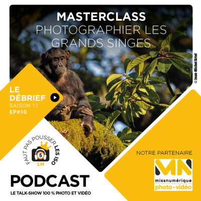 LE DÉBRIEF - S1110 - MASTERCLASS : PHOTOGRAPHIER LES GRANDS SINGES cover