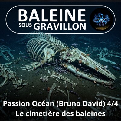 S08E21 Passion Océan 4/4 : Le miracle des cimetières de baleines (Bruno David) cover