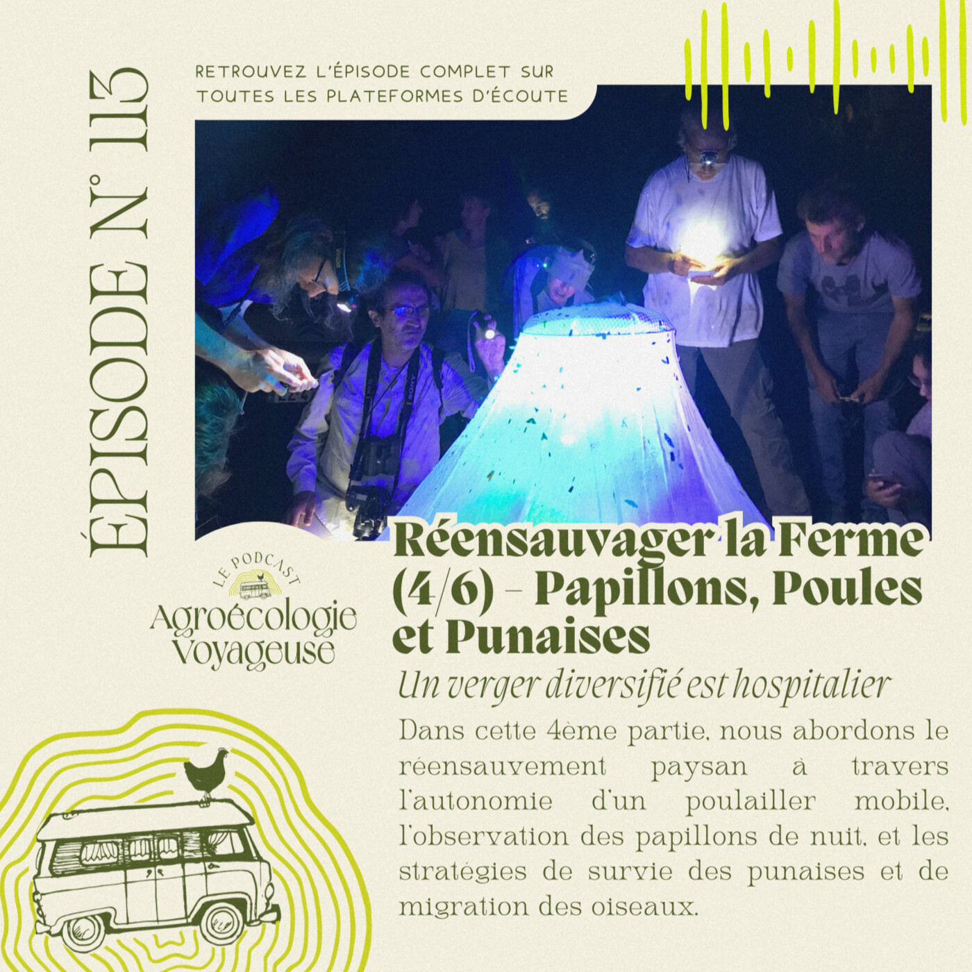 #113 Réensauvager la Ferme (4/6) 🦋🐓 Papillons Poules et Punaises
