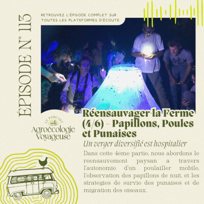 #113 Réensauvager la Ferme (4/6) 🦋🐓 Papillons Poules et Punaises cover
